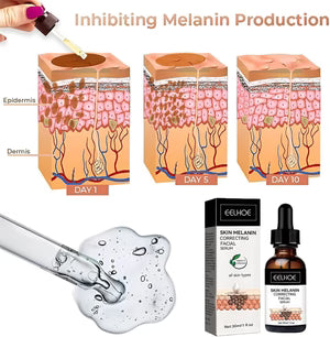 Eelhoe - Melanin Correcting Serum